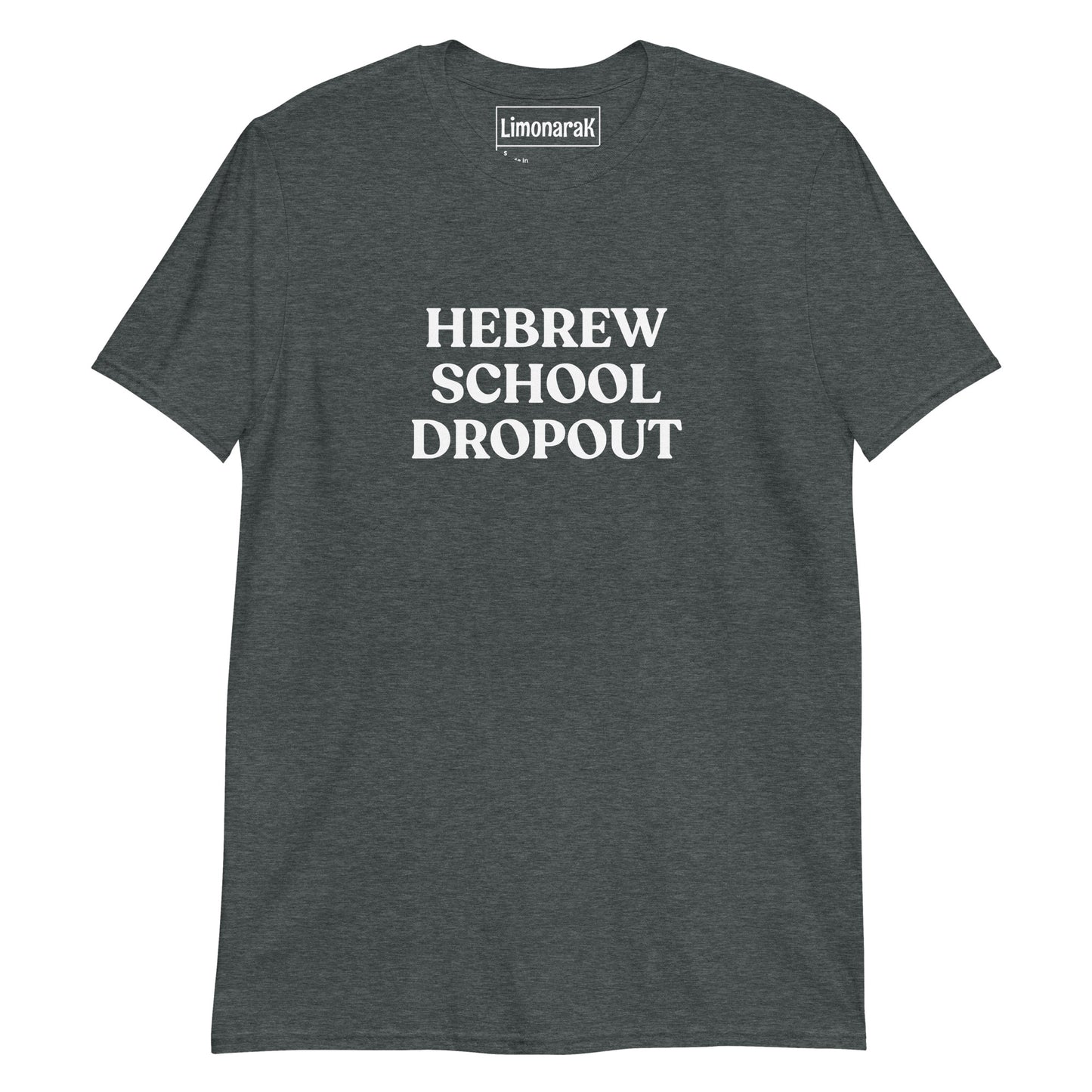 Dark Gray Hebrew School Dropout T-Shirt