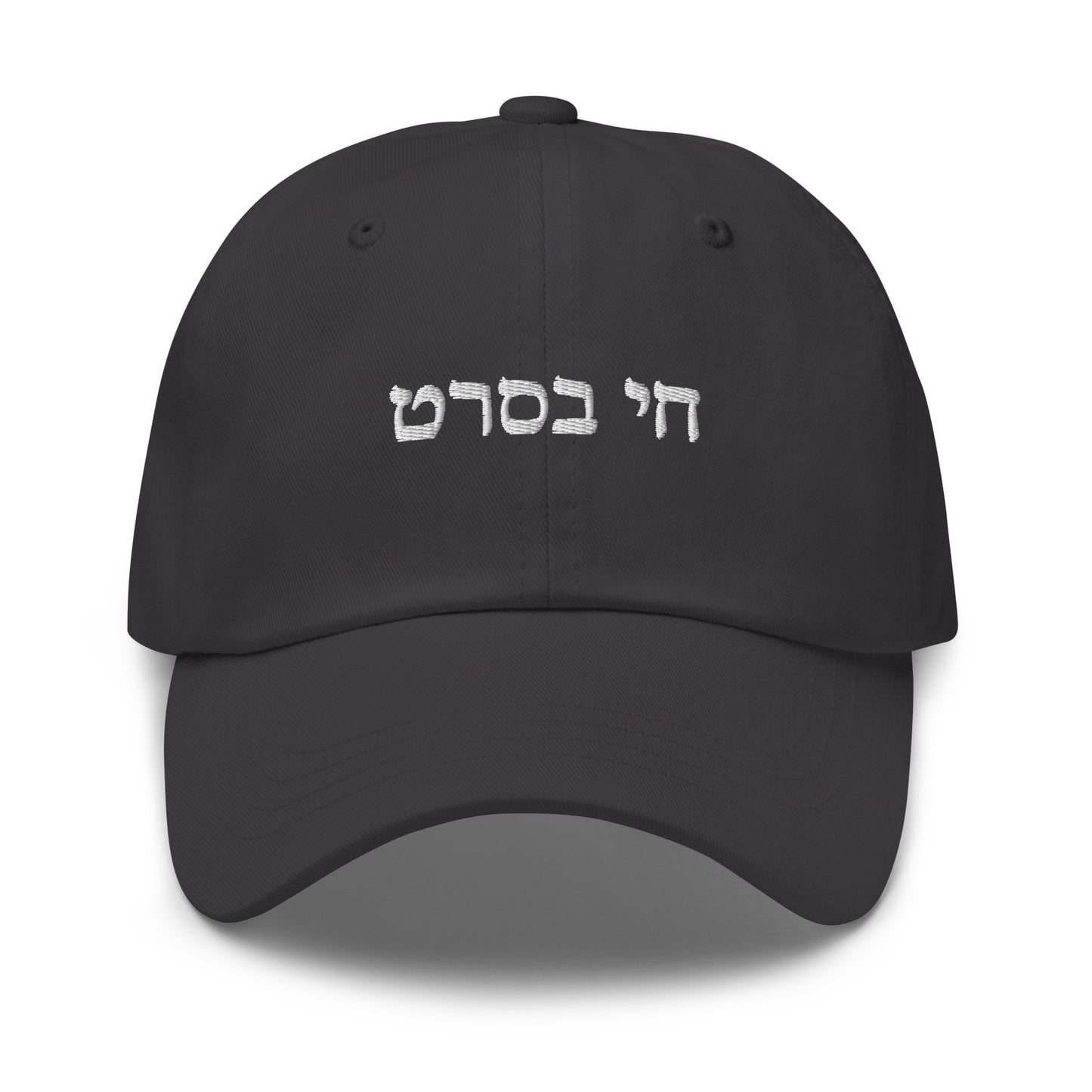 Gray Chai B'Seret Dad Hat - Hebrew (חי בסרט)