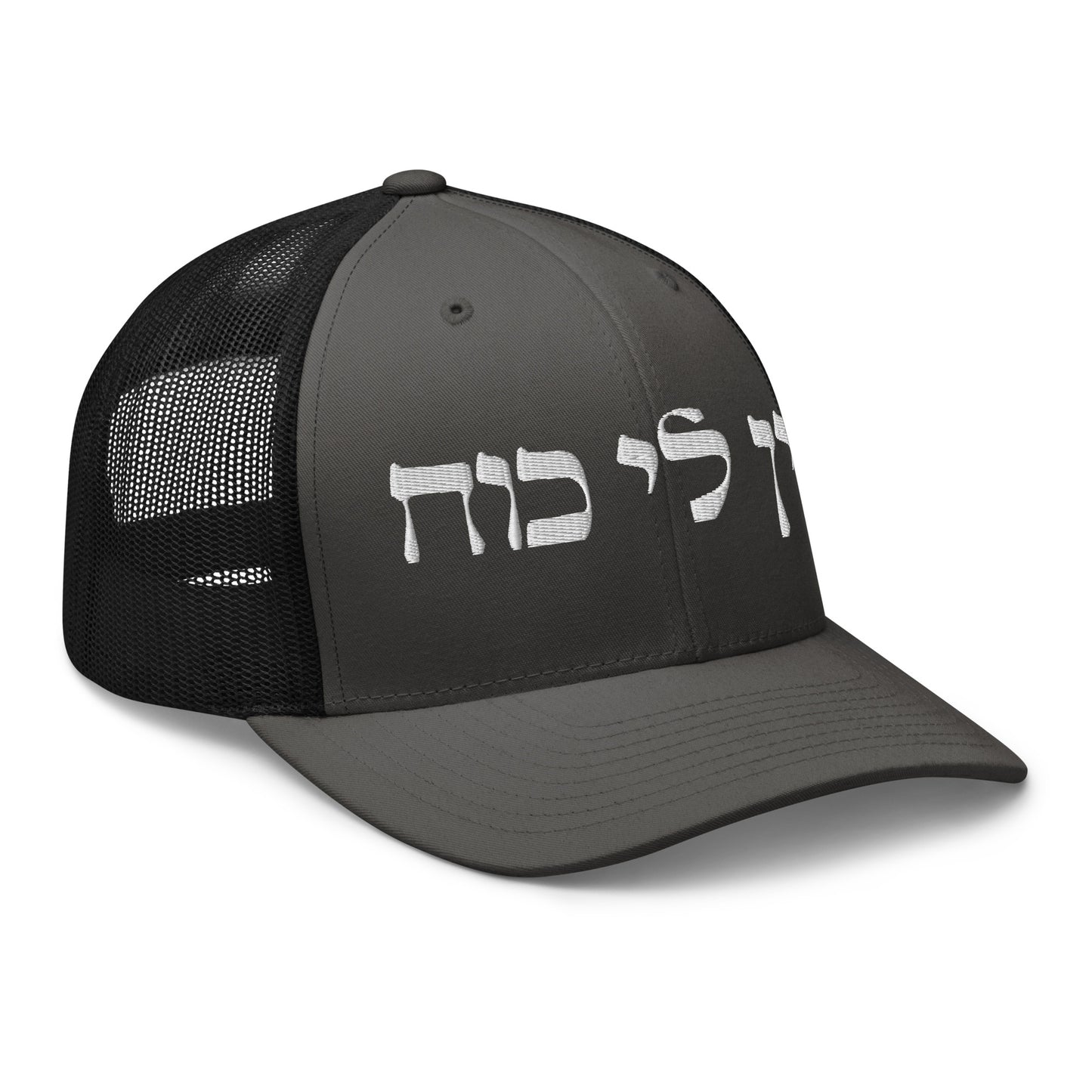 Gray and Black Ein Li Koach Trucker Cap