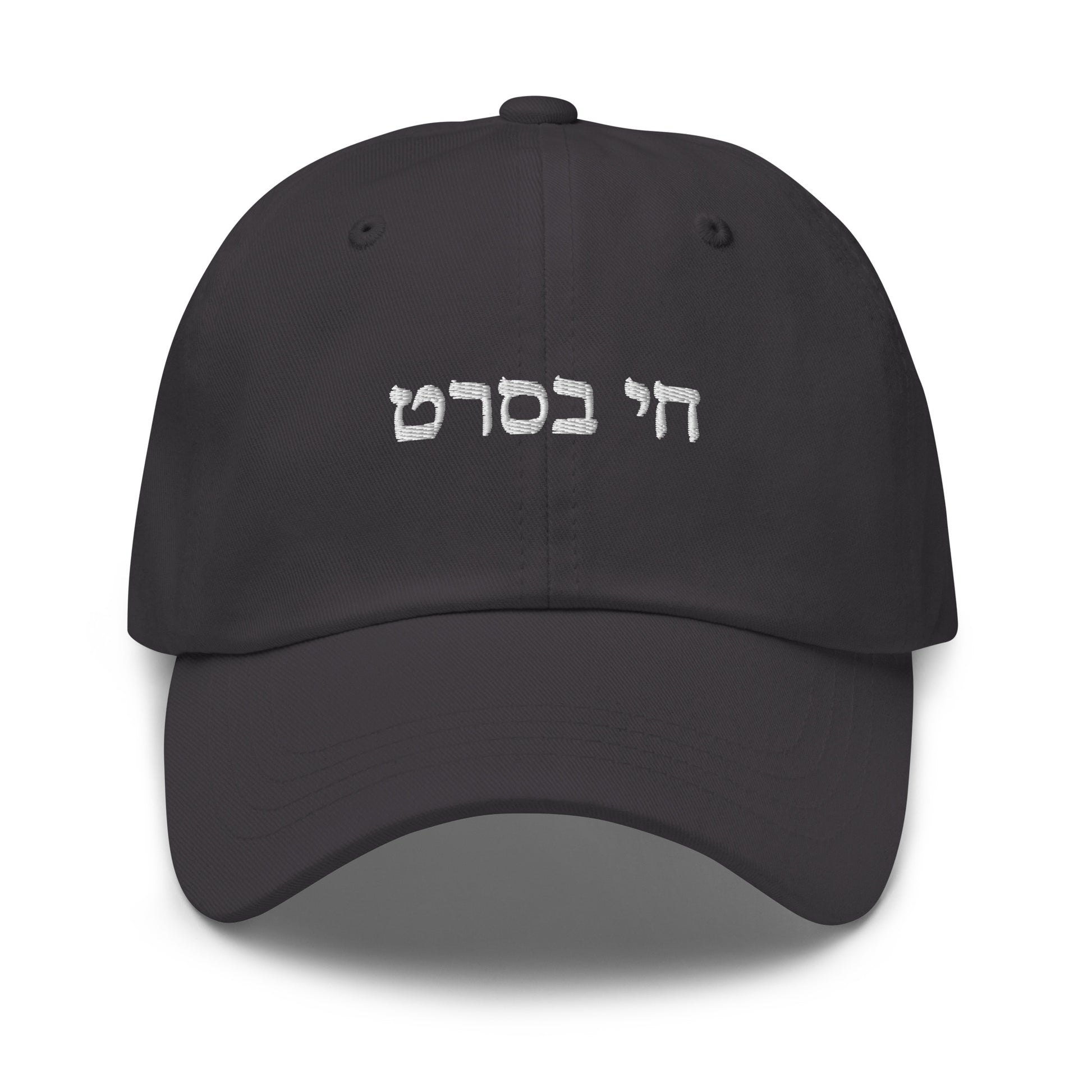Gray Chai B'Seret Dad Hat - Hebrew (חי בסרט)