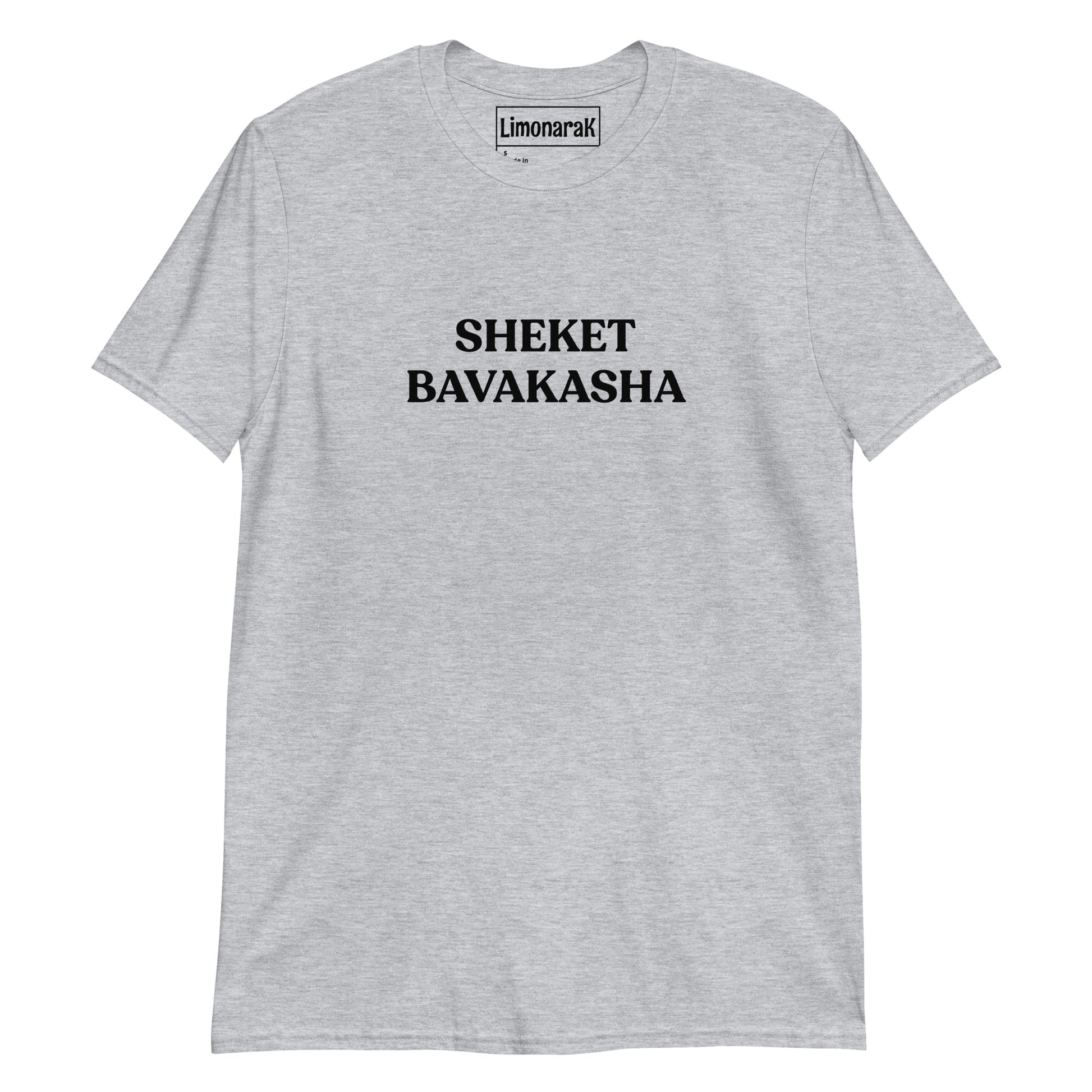 Gray Sheket Bavakasha Hey T-Shirt